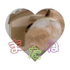 coco_20250808011042