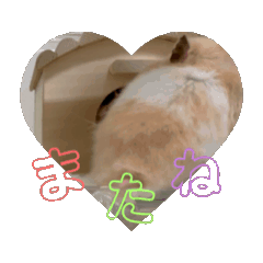 coco_20250808005744
