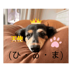 Riri_20250808091526