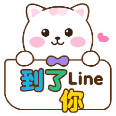 懶萌貓咪－休閒日常