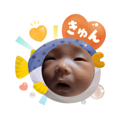 KAITO_20250807125355