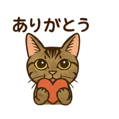 shiho_20250807130259