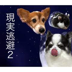 m_20250808050828