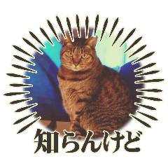 M_20250807152706