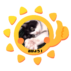 hana_20130424232323ag