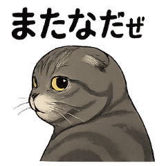Badass Cats