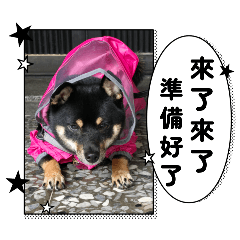 好不可愛3