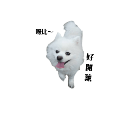 Gifford：我有話要說