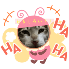 Alice_20250808122558