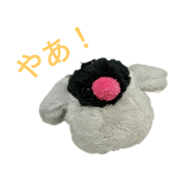 misaki_20250804214428