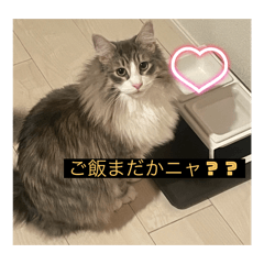 nozomi_20250807142043