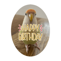 ayumi_20250807142746