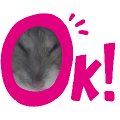 yukio_20250807140748