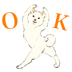 ヨガ柴さんの日常