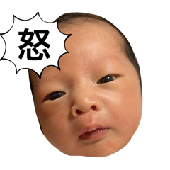 emi_20250805211006