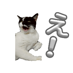 kaito_20250807154407