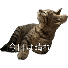 OHAGI_20250807221650