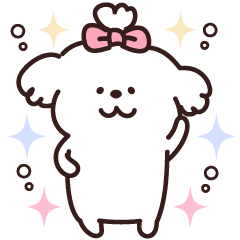 Everyday Fluffy Dog