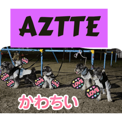 yuto_20250807221943
