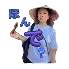 Pomeco_20250807233543