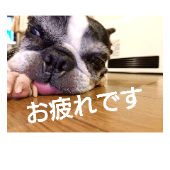 ccrktn