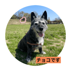 omochi_20250807234404