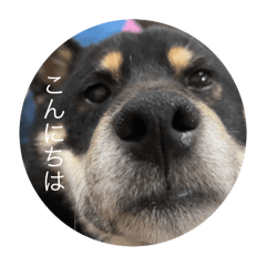 momoko_20250808105054