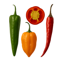 A Variety of chili pepper(BIG)