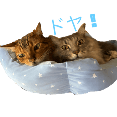 Takumi_20250807203319