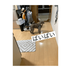 takumi_20250807214453