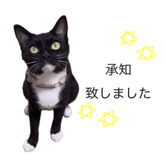 mitsuki_20250807214904