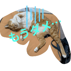 nanana_20250808082213