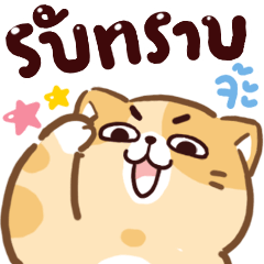 แจ่มเหมียว : ใช้ได้ทุกวัน จ้า