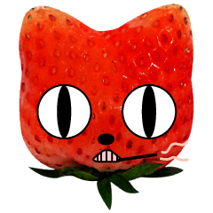 Strawberry Cat Boring