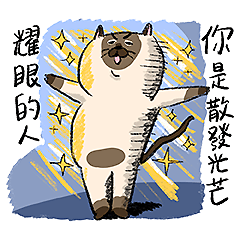 貓室友日常貼圖3