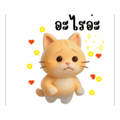 Cat_20250808103222
