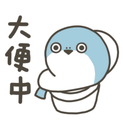 甲魚bambam簡單問候