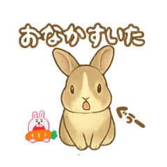 cocoa_20250806112559