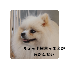 marina_20250808084833