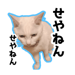 miruuu_20250808124942