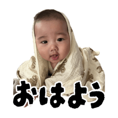 maple_20250808153614