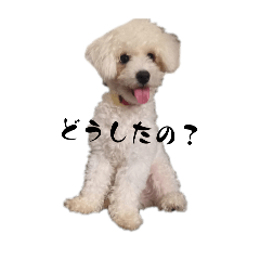 POTATO_20250808201015