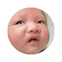 福寶動動