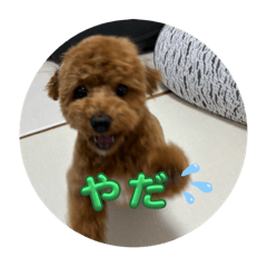Rei_20250808214016