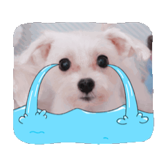 yukko_20250809083230