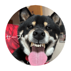 momoko_20250808120025