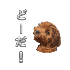 Amber_20250808114857