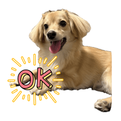 Chi-weenie CHIKUWA STAMPS 1