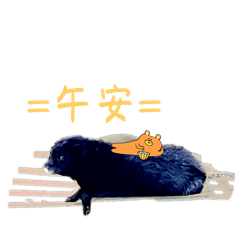 邱姓全家動物在此恭祝 邱公父親節快樂