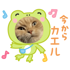 Yuina_20250808235658